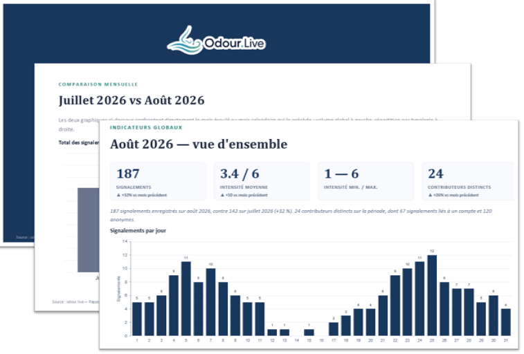 An automatic PowerPoint report